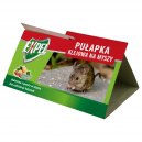 Expel pułapka klejowa na myszy