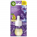 Air Wick elektryczny Pola Lawendy i Dzwonki wkład 19ml