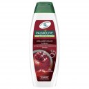 Palmolive szampon do włosów Brilliant Colour 350ml